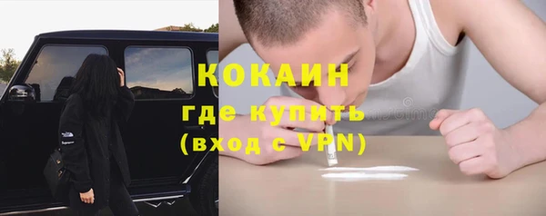 гидра Арсеньев