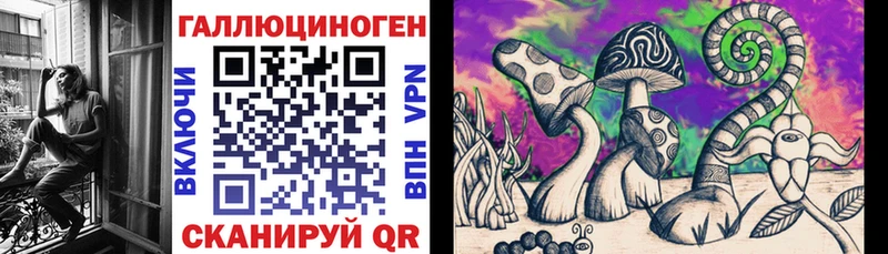 Галлюциногенные грибы Psilocybine cubensis Кашин